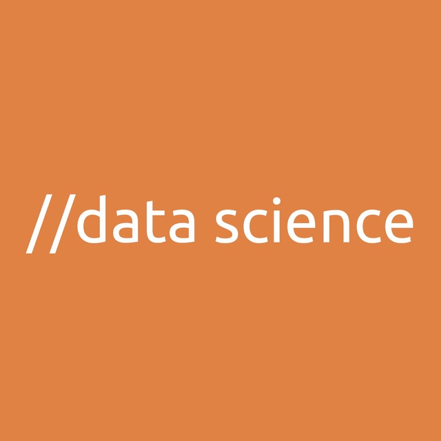 Логотип devdigest // data science