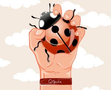Логотип QApedia